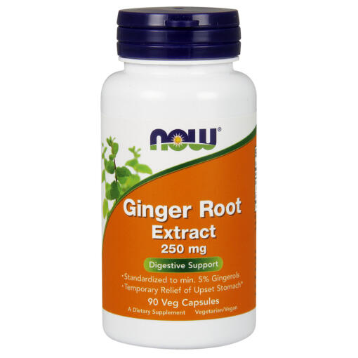 NOW Foods - Ginger Root Extract