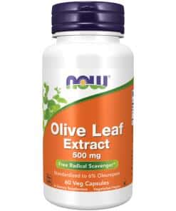 Olive Leaf Extract 500 mg Veg Capsules