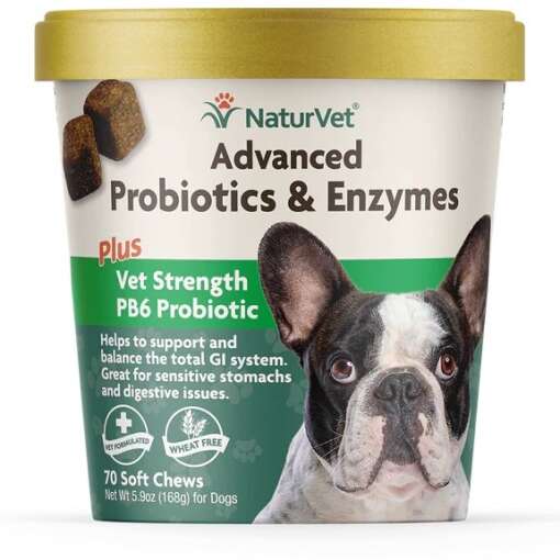 Nordic Naturals - NaturVet Advanced Probiotics & Enzymes - 70 soft chews