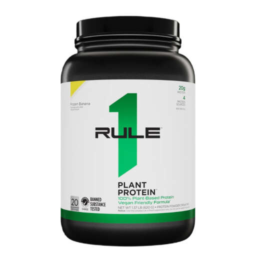 Plant Protein