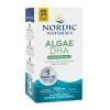 Algae DHA
