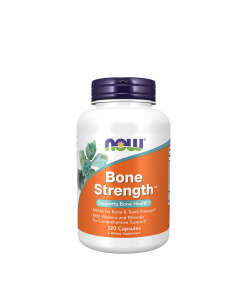 Bone Support¹