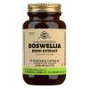Boswelliaharpiksekstrakt - 60 vegetabilske kapsler