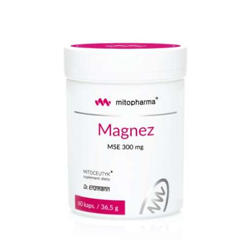 DR. ENZMANN MSE Magnesium MSE (60 caps)