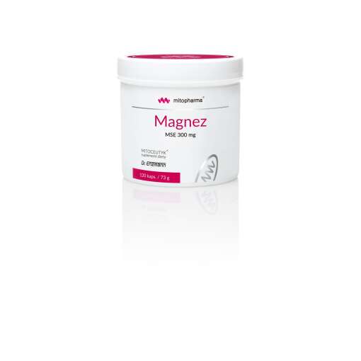 DR. ENZMANN MSE Magnesium Mse (120 caps)