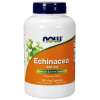 Echinacea