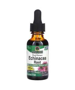 Echinacea Root