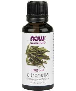 Essential Oil