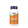 Fenugreek