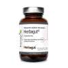 KENAY Herbagut® - a mixture of Indian extracts (60 caps)