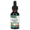 NATURE'S ANSWER Propolis Extract (30 ml / 1 fl. oz.)