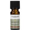 TISSERAND AROMATHERAPY Sandalwood Ethically Harvested Oil (2 ml / 0