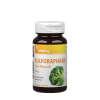 Vitaking Sulforaphane From Broccoli 400 mcg (60 Veg Capsules)