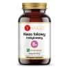 YANGO Methylated folic acid (60 caps)