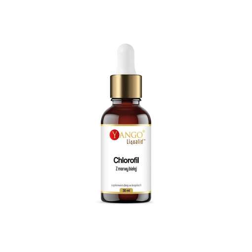 YANGO White Mulberry Chlorophyll in drops (30 ml / 1 fl. oz.)
