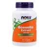 Boswellia Extract 500 mg