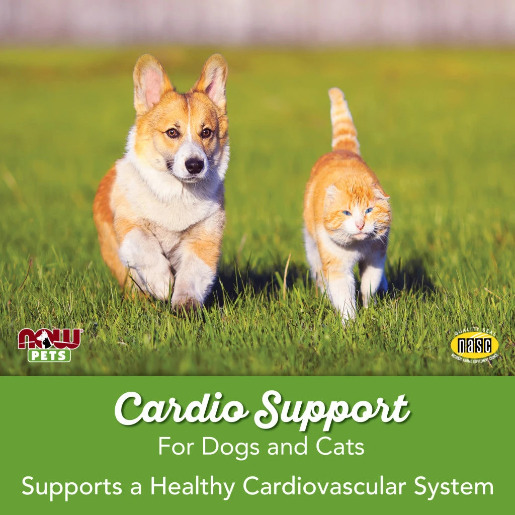 NOW Pets - Cardiovascular Support for Dogs and Cats - Image 7