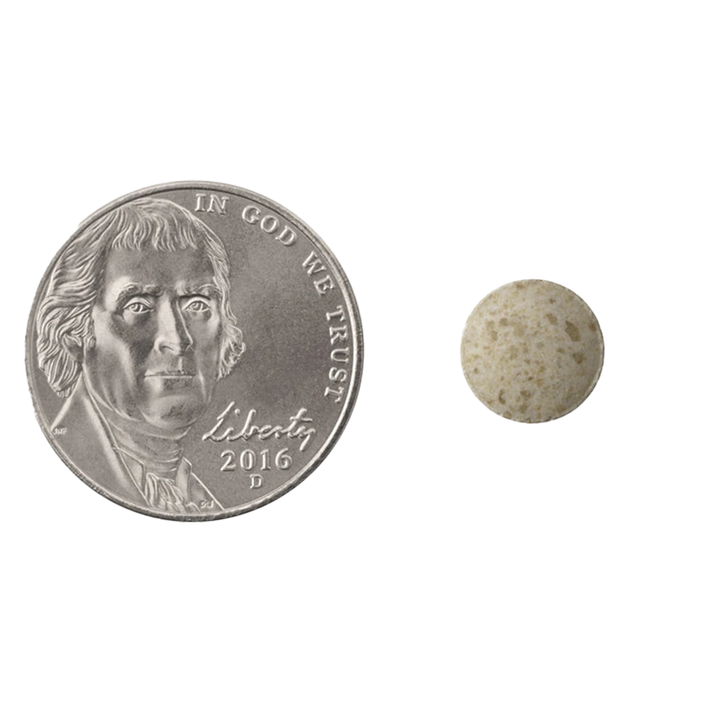 Natrol - Cognium Memory - 60 Tablets - Image 2