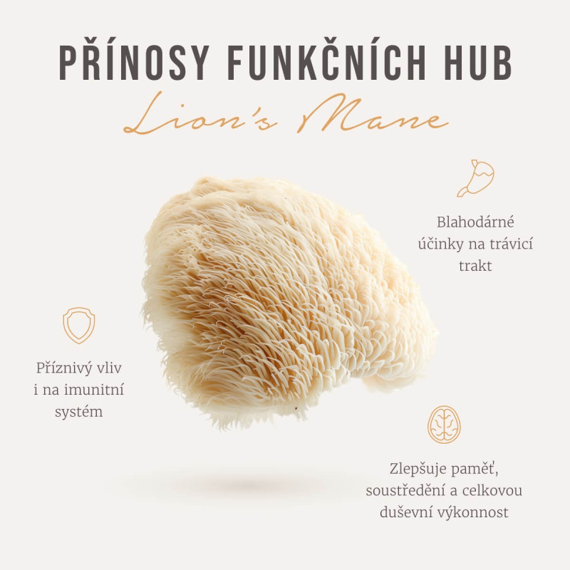 Four Sigmatic - Organic Lion's Mane Mushroom Elixir Mix - 1 Pack - Image 2