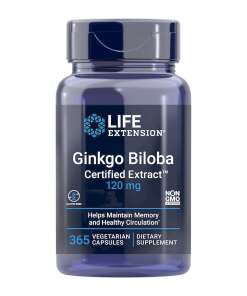 Ginkgo Biloba