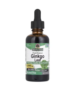 Ginkgo Leaf