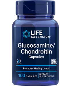 Glucosamine/Chondroitin Capsules - 100 caps