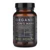 Lion's Mane Extract - 50g