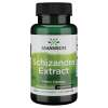 Schizandra Extract