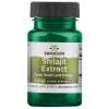 Shilajit Extract