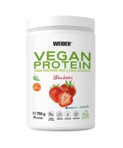 Vegan Protein