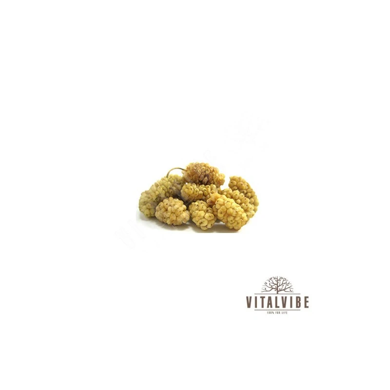 Vitalvibe - Organic White Mulberries - 30 g - Image 3